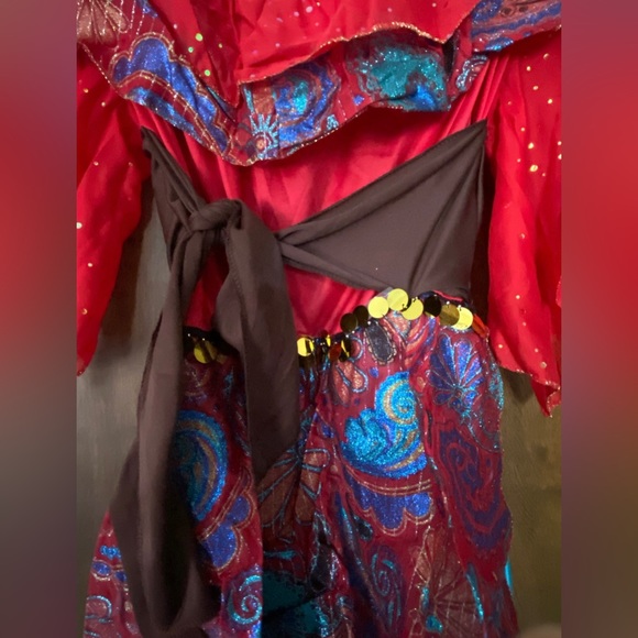 Women’s Gypsy Costume - Picture 6 of 8